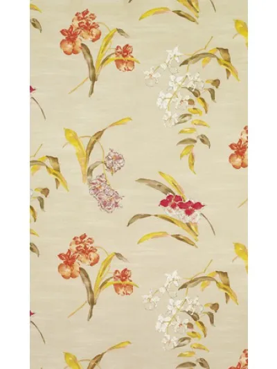 Ткань Nina Campbell Perroquet NCF3824/03