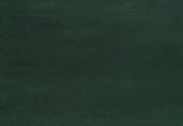 Ткань Designers Guild Brescia F1452/11