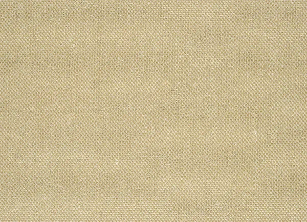 Ткань Designers Guild Moselle F1964/01