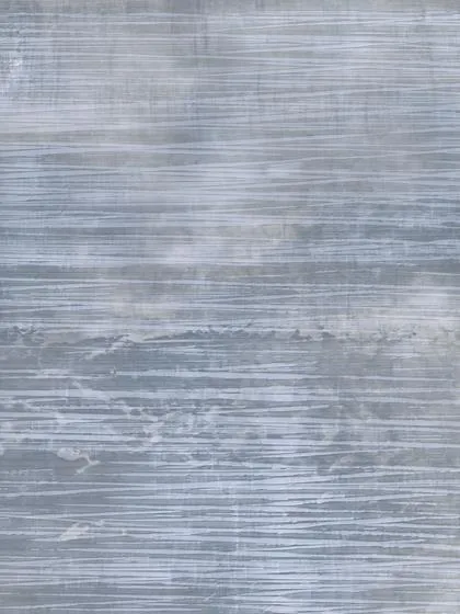 Обои для стен Holland & Sherry Archetype WP2034