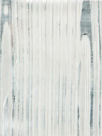 Обои для стен Holland & Sherry Archetype WP2042