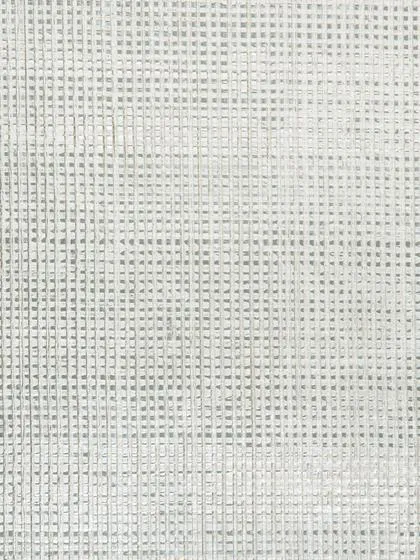 Обои для стен Holland & Sherry Archetype WP2092