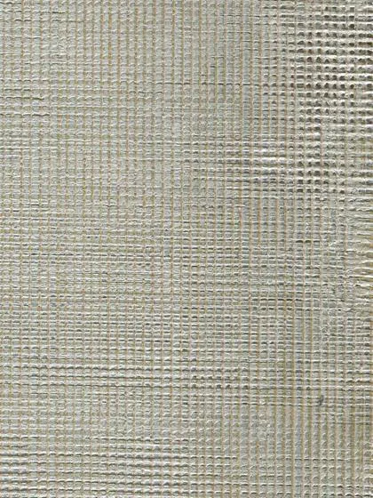 Обои для стен Holland & Sherry Archetype WP2095