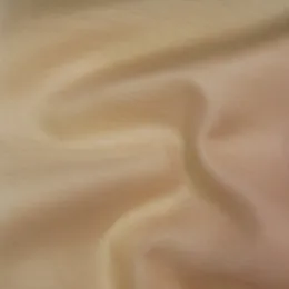 Ткань Henry Bertrand Organzas ORG182W