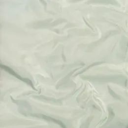 Ткань Henry Bertrand Taffeta TAFP017