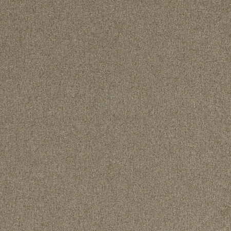 Ткань Clarke&Clarke Highlander F0848-19