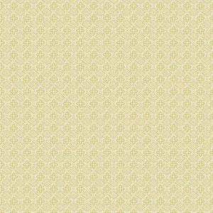 Ткань Blendworth Discovery Weaves Thatch_0033