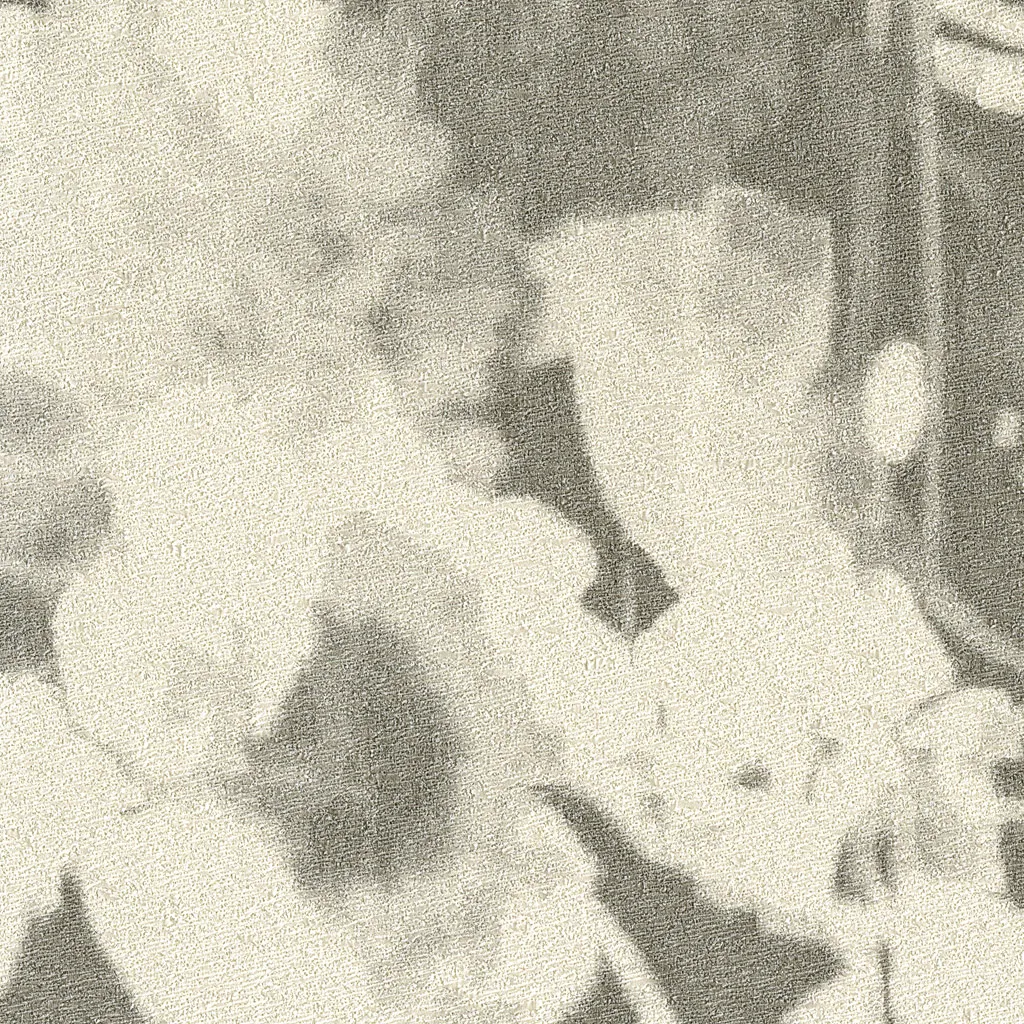 Обои для стен Rubelli Chiaroscuro Wall 23003