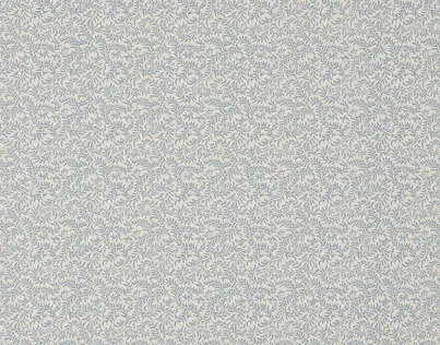 Обои для стен Braquenie Braquenier Wallpapers 403_BP205003