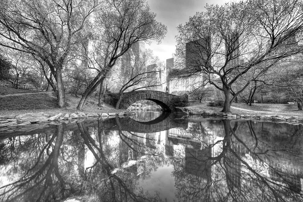 Обои для стен Photowall Города bridge-in-central-park-bw
