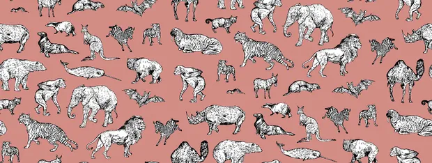 Обои для стен Photowall Детские обои lots-of-animals-pink