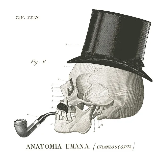 Обои для стен Photowall Изобразительное искусство dandy-bones-ii