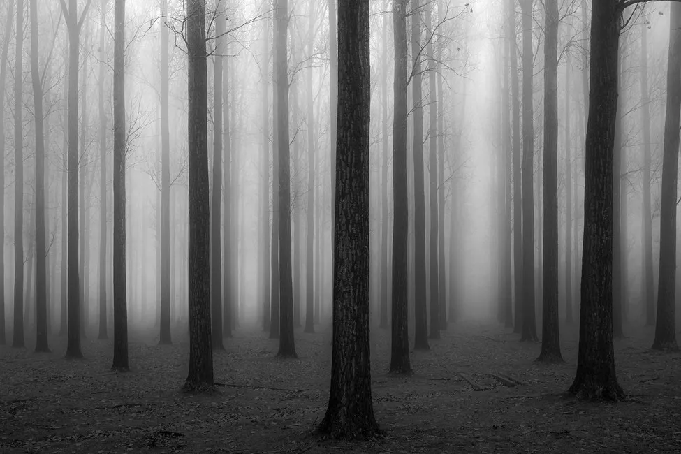 Обои для стен Photowall Пейзажи in-a-fog