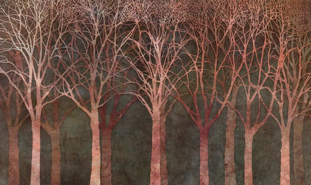 Обои для стен Photowall Природа birch-grove-night-twilight