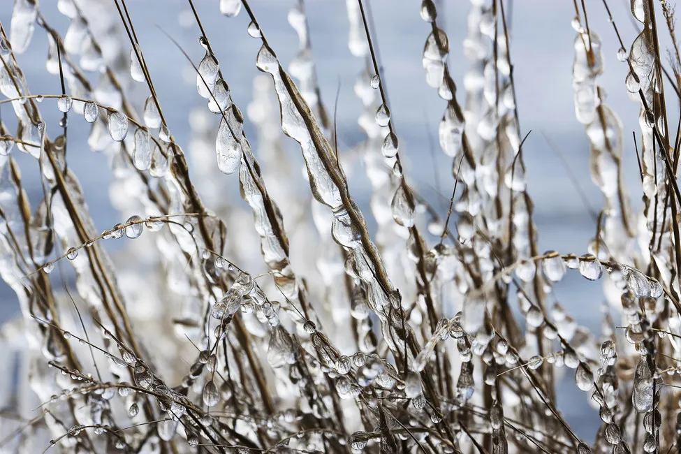 Обои для стен Photowall Природа ice-formations