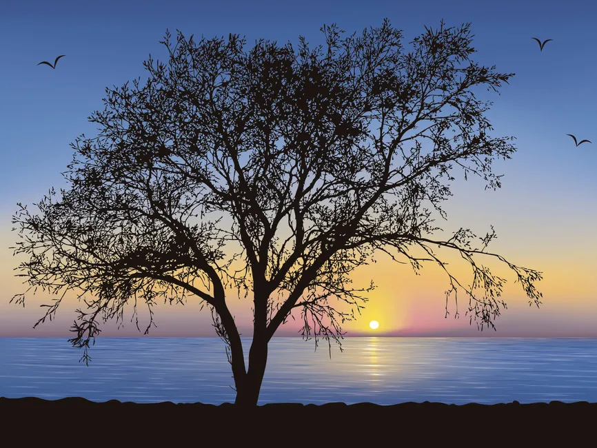 Обои для стен Photowall Природа tree-silhouette