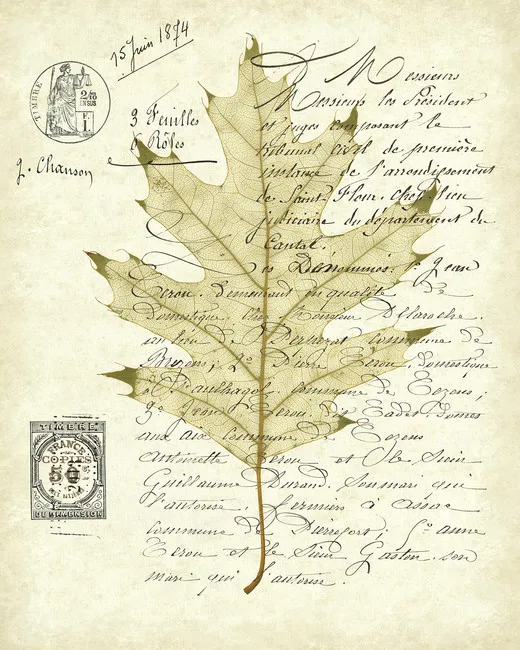 Обои для стен Photowall Типография red-oak-document-booker-morey