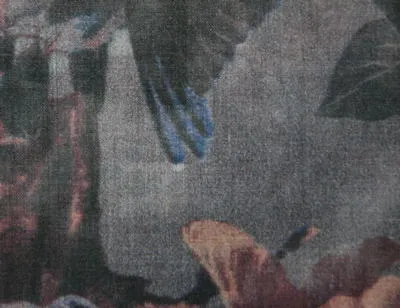 Ткань Jean Paul Gaultier Ca C'est Paris 3439_04