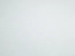 Ткань Lelievre Faux Unis 0483_01