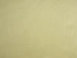 Ткань Lelievre Faux Unis 0483_11