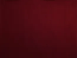 Ткань Lelievre Faux Unis 0483_17