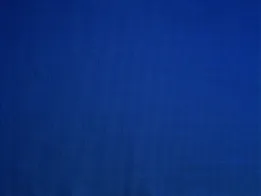 Ткань Lelievre Faux Unis 0483_18