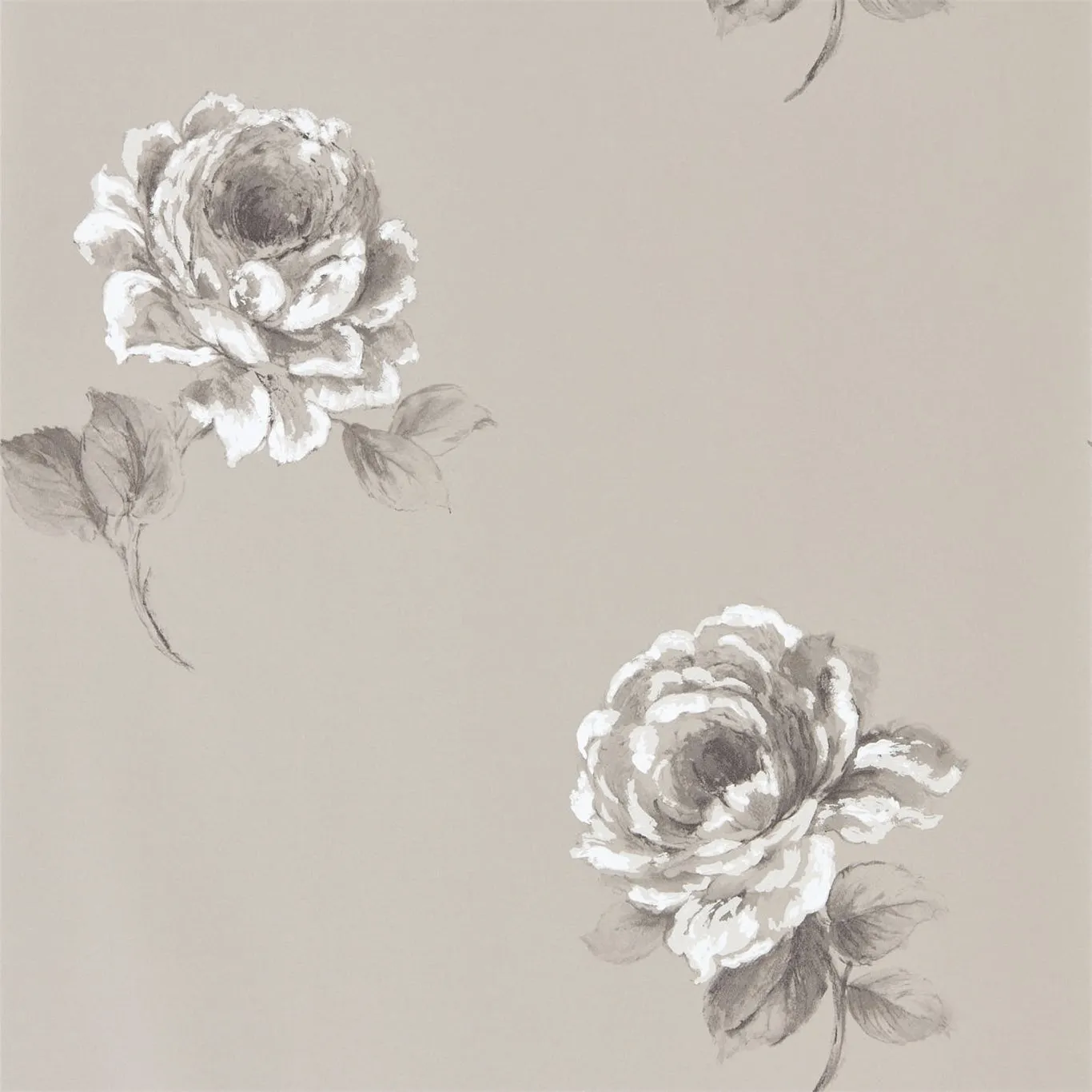 Обои для стен Sanderson Waterperry 216279