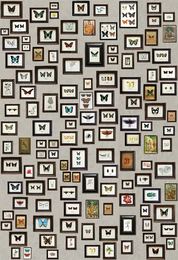 Обои для стен Matthew Williamson Durbar W6953-01