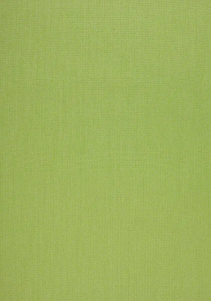 Ткань Thibaut Calypso Fabrics W80355