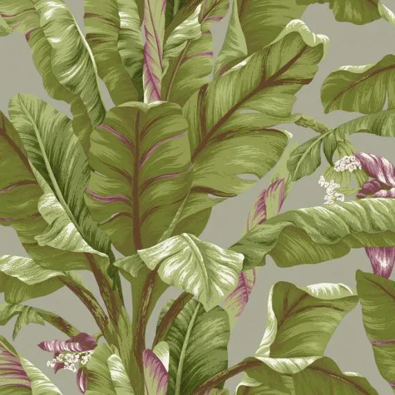 Обои для стен Ashford House Ashford Tropics AT7069