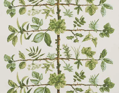 Обои для стен Pierre Frey Pierre Frey Wallpapers FP169002