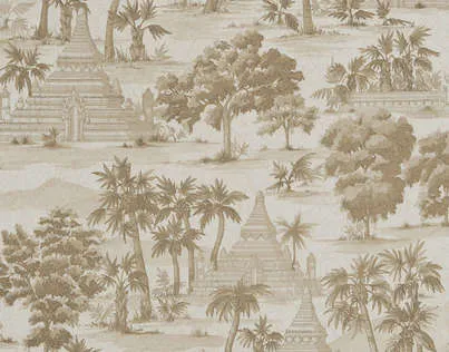 Обои для стен Pierre Frey Les Dessins FP326002