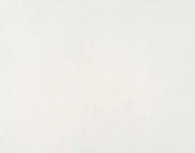 Обои для стен Pierre Frey Racines FP360001