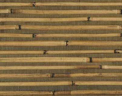 Обои для стен Pierre Frey Graminees 1 FP379001