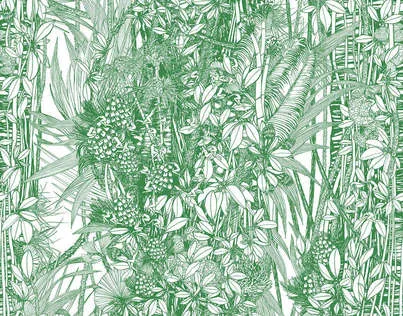 Обои для стен Pierre Frey Jungle FP402001