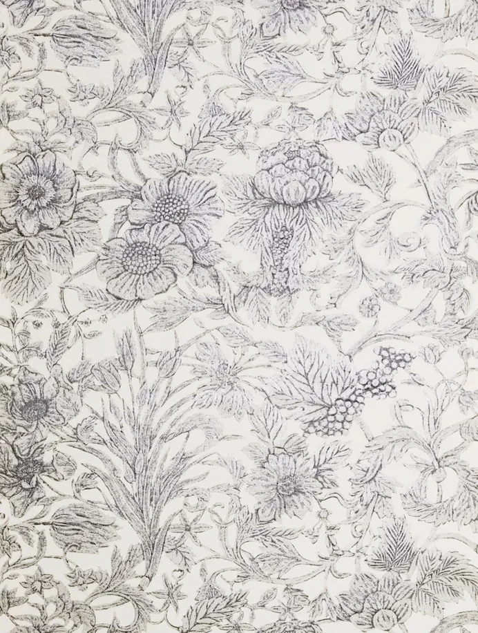 Обои для стен Watts Camberwell Amicia-Winter-White-