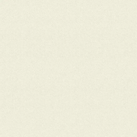 Обои для стен Carey Lind Menswear AB2135