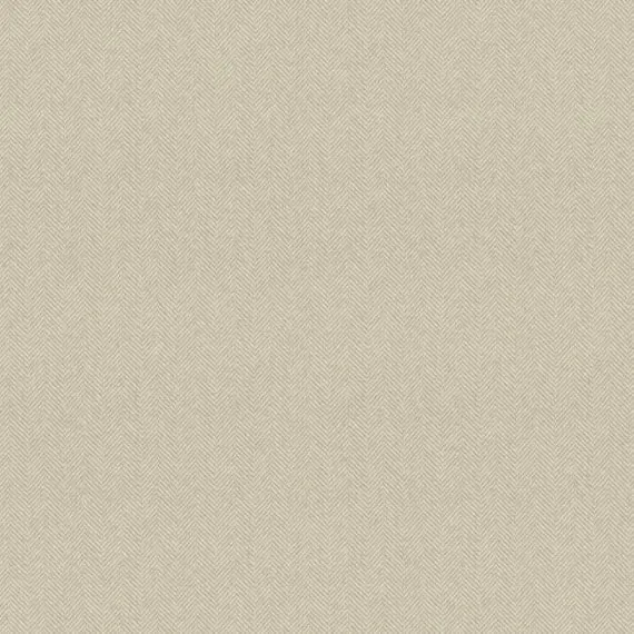 Обои для стен Carey Lind Menswear AB2136