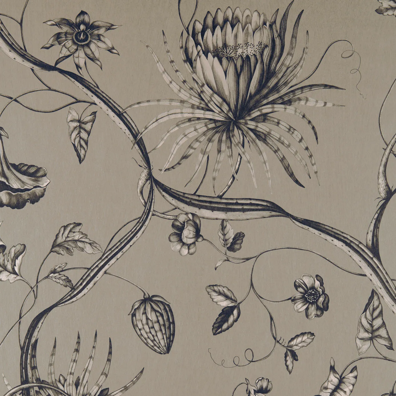 Ткань Zoffany Phaedra Fabrics 322602