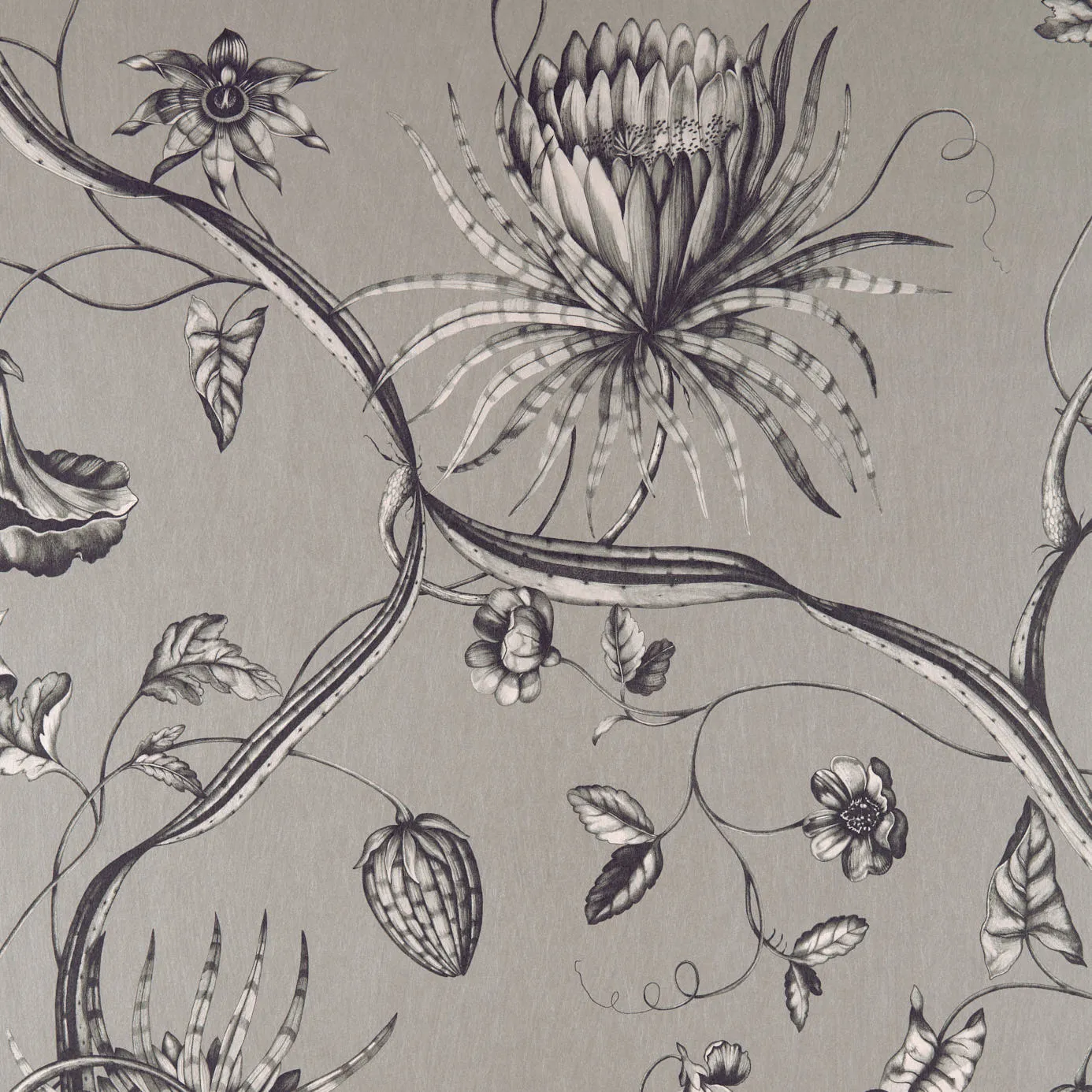 Ткань Zoffany Phaedra Fabrics 322603