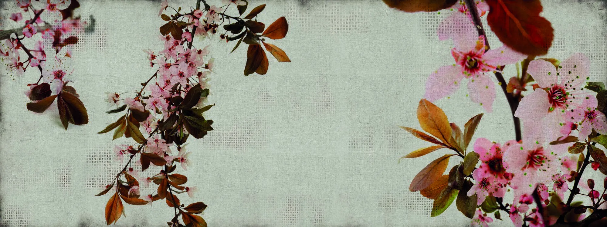 Обои для стен Momenti 2016 Collection DE-35-001