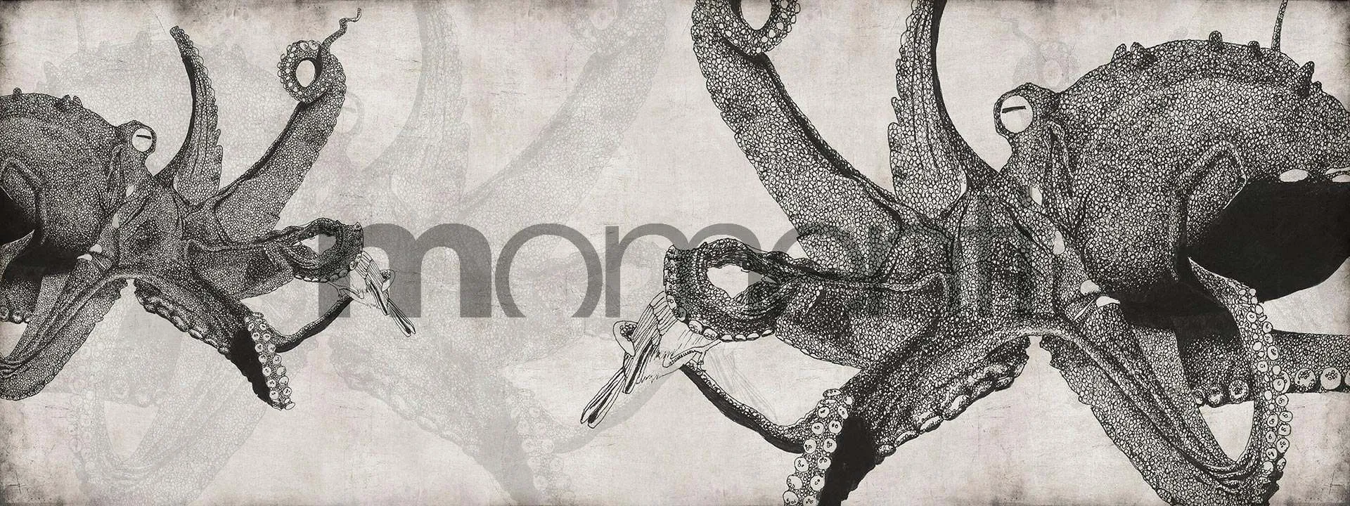 Обои для стен Momenti Animal Collection A-10 Cod. 001