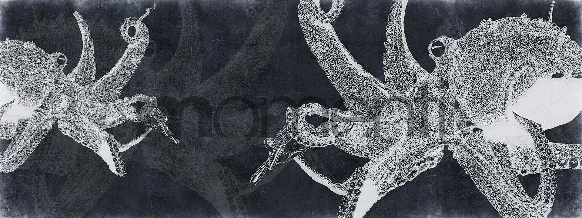 Обои для стен Momenti Animal Collection A-10 Cod. 002