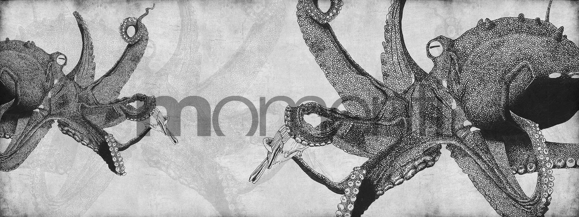 Обои для стен Momenti Animal Collection A-10 Cod. 003