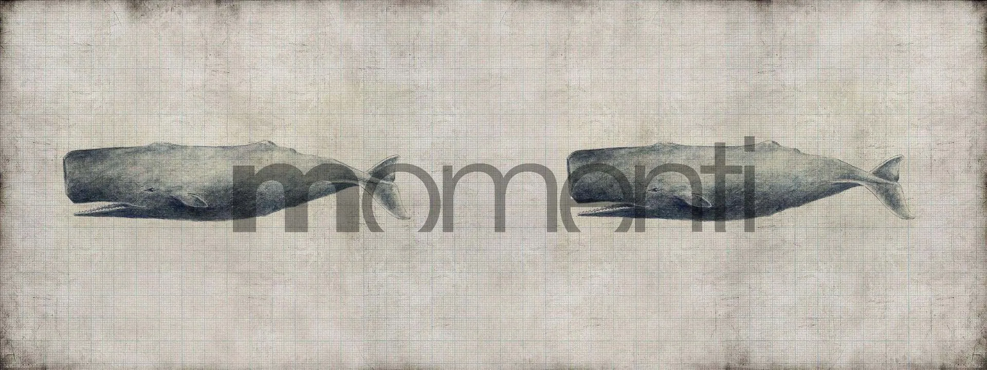 Обои для стен Momenti Animal Collection A-11 Cod. 001