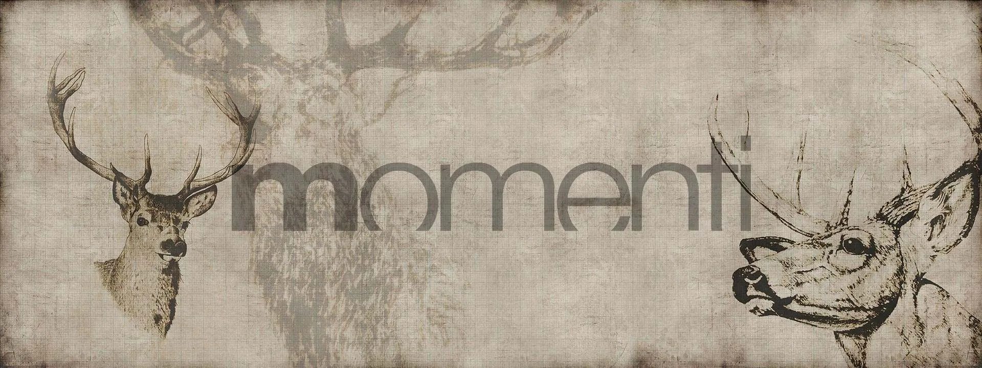 Обои для стен Momenti Animal Collection A-14 Cod. 001