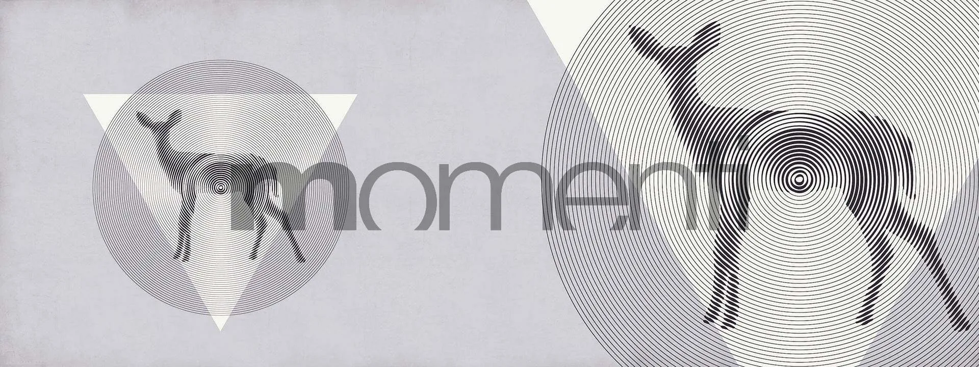 Обои для стен Momenti Animal Collection A-16 Cod. 002