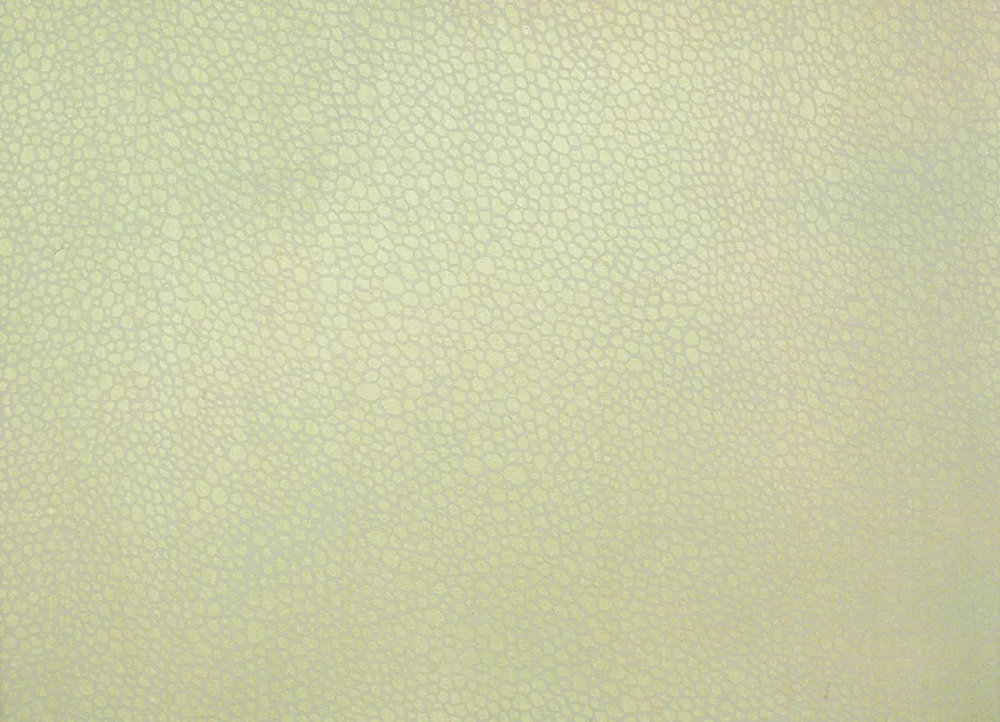 Обои для стен Fromental Serigraphe Z005_shagreen_03_tanto