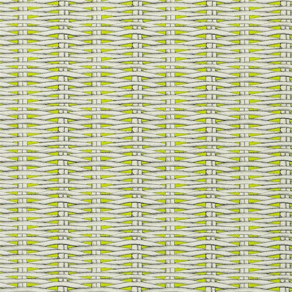 Обои для стен Christian Lacroix Nouveaux Mondes PCL66405