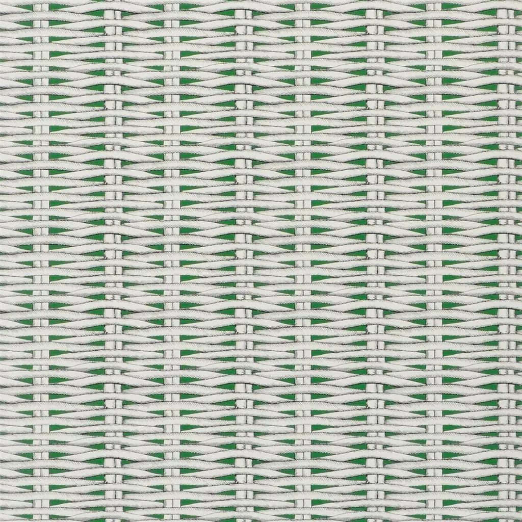 Обои для стен Christian Lacroix Nouveaux Mondes PCL66406